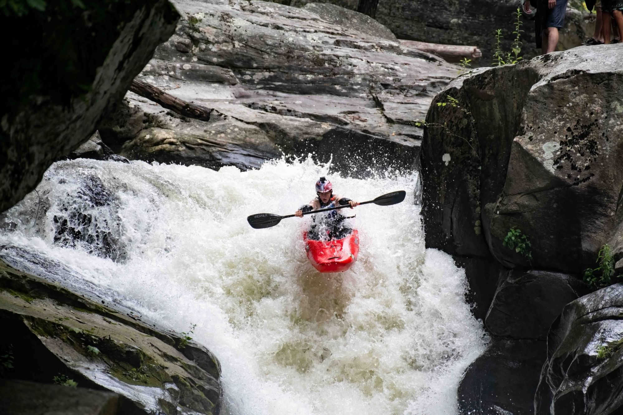  Magnus-Monsongorilla-2