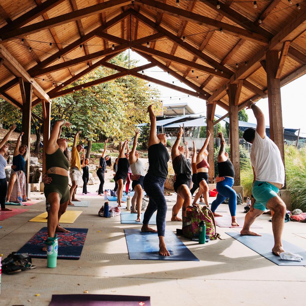  Emily Cameron Flow Fest 2025